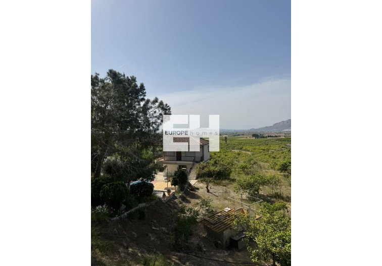 Revente - Finca - Orihuela - Arneva