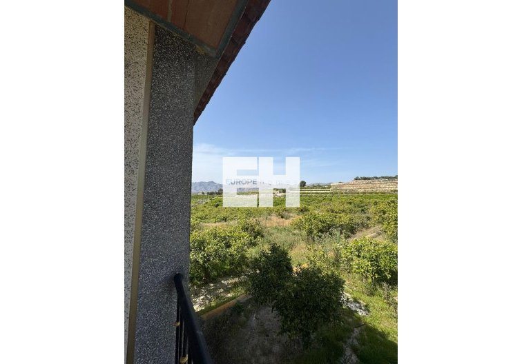 Revente - Finca - Orihuela - Arneva