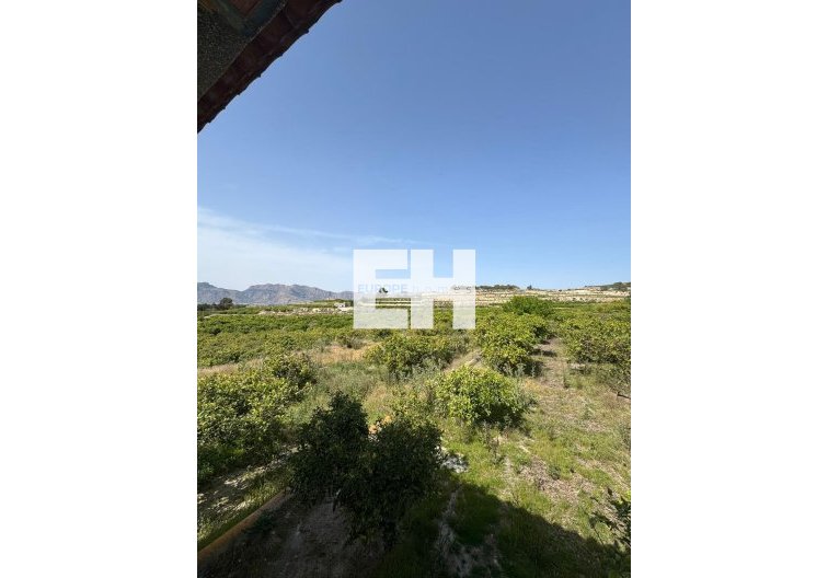 Revente - Finca - Orihuela - Arneva
