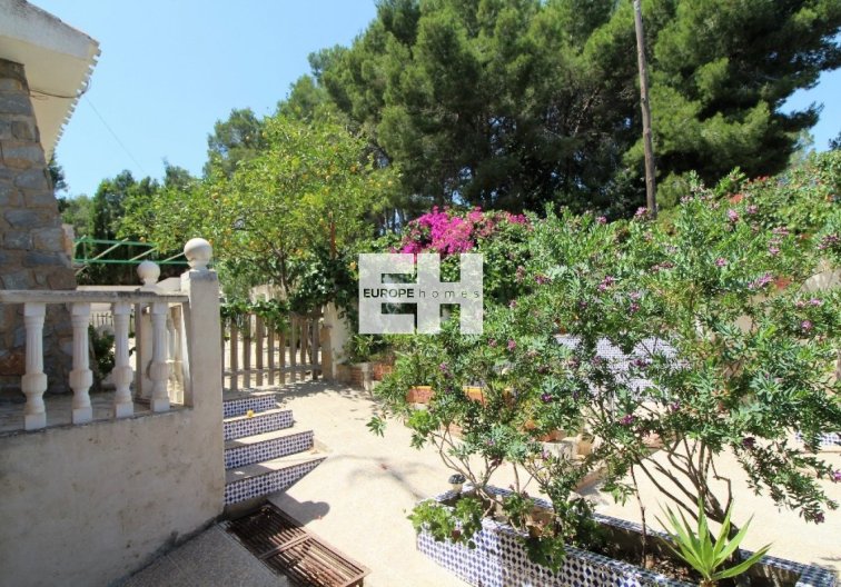 Resale - villa - Torrevieja - Los Balcones 
