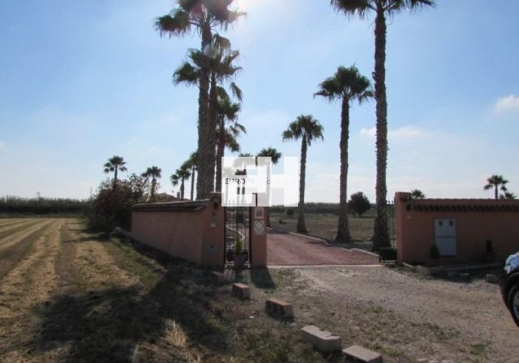 Herverkoop - Finca - Dolores - Comunidad Valenciana