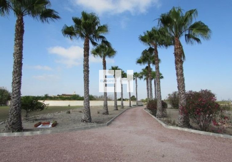 Herverkoop - Finca - Dolores - Comunidad Valenciana