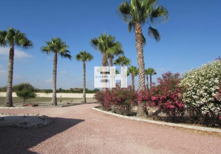 Herverkoop - Finca - Dolores - Comunidad Valenciana
