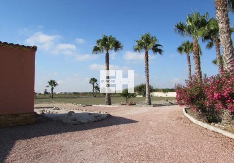 Herverkoop - Finca - Dolores - Comunidad Valenciana