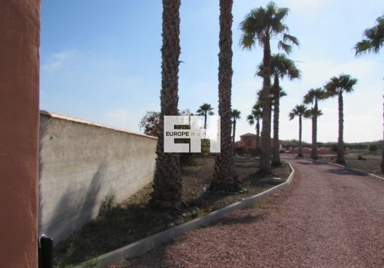 Herverkoop - Finca - Dolores - Comunidad Valenciana