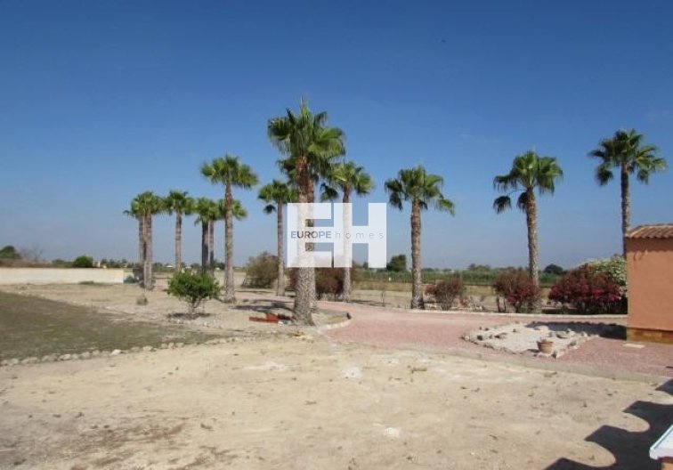 Herverkoop - Finca - Dolores - Comunidad Valenciana