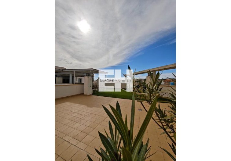 Herverkoop - Appartement - San Miguel de Salinas