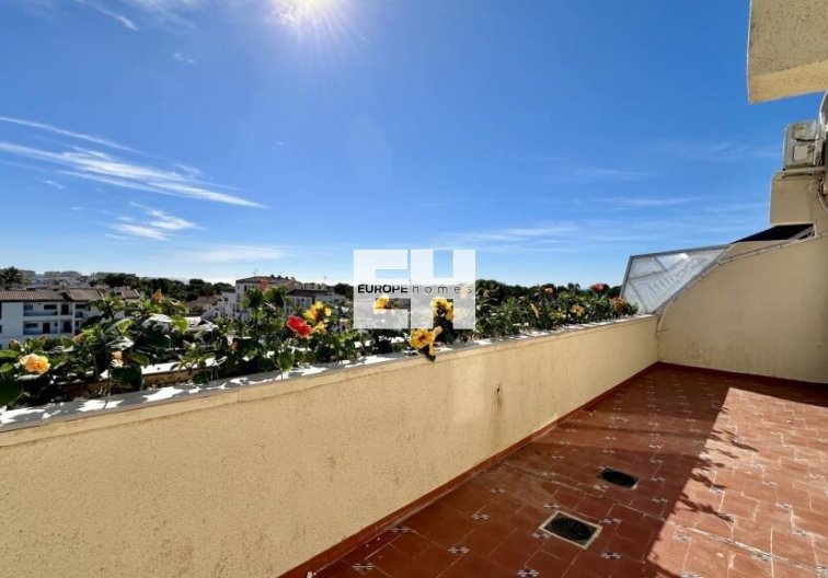 Wiederverkauf - Penthaus - Torrevieja - Punta Prima