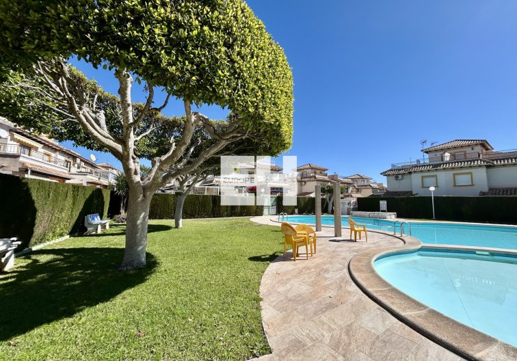 Wiederverkauf - Wohnung - Punta Prima - Costa Blanca