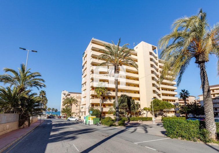 Revente - Appartement - Torrevieja - Cabo Cervera