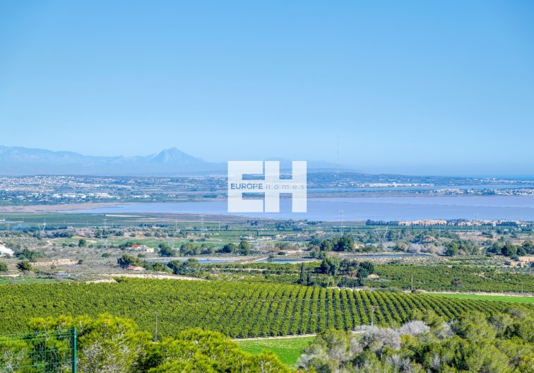 Wiederverkauf - villa - San Miguel de Salinas - Inland