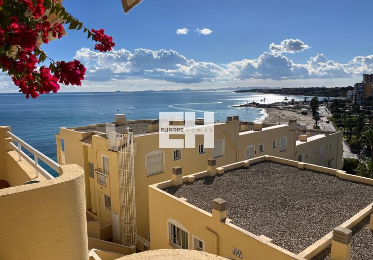 Resale - Apartment - Orihuela Costa - Campoamor