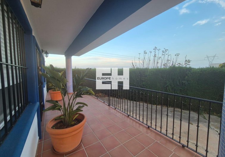 Segunda mano - Finca - Orihuela - Casco Histórico