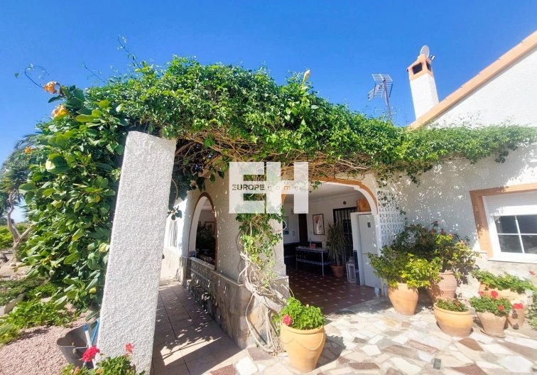 Revente - Finca - La Marina - Costa Blanca