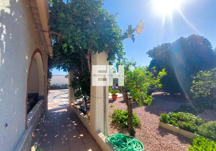 Revente - Finca - La Marina - Costa Blanca