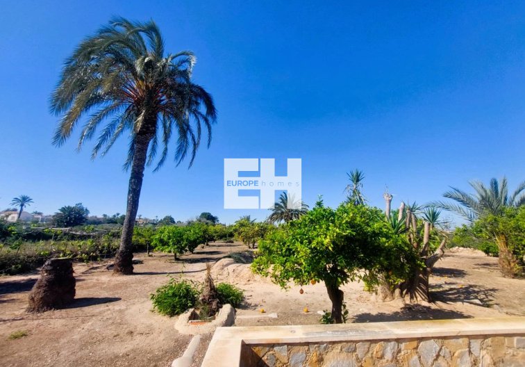 Revente - Finca - La Marina - Costa Blanca