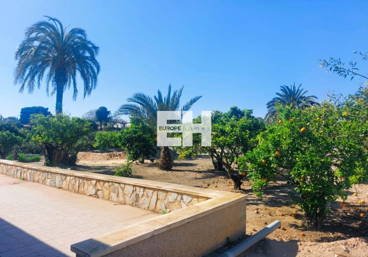 Revente - Finca - La Marina - Costa Blanca