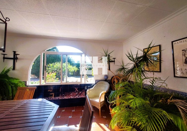 Revente - Finca - La Marina - Costa Blanca