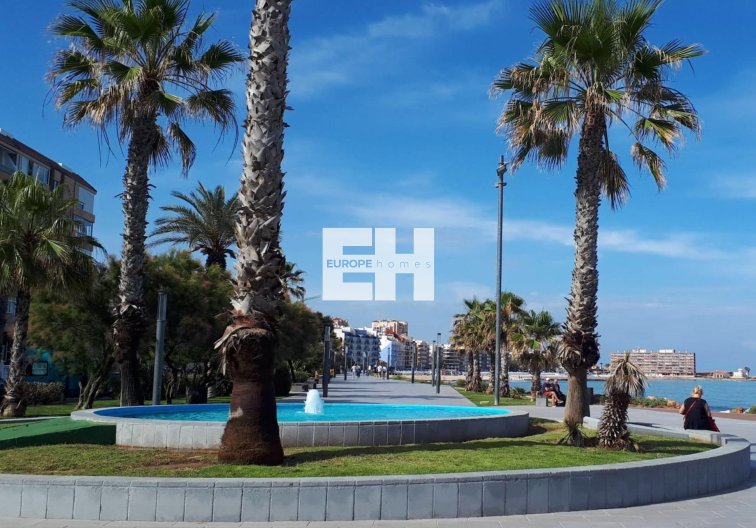 Resale - Apartment - Torrevieja - Curva Del Palangre