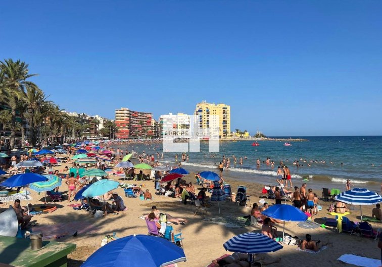 Resale - Apartment - Torrevieja - Curva Del Palangre