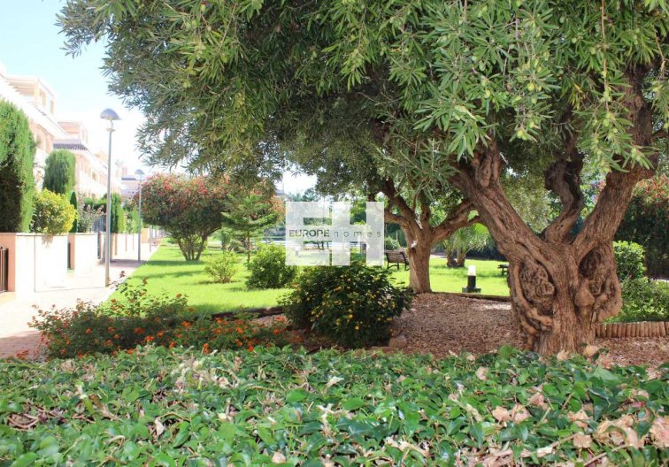 Wiederverkauf - Wohnung - Denia - Costa Blanca
