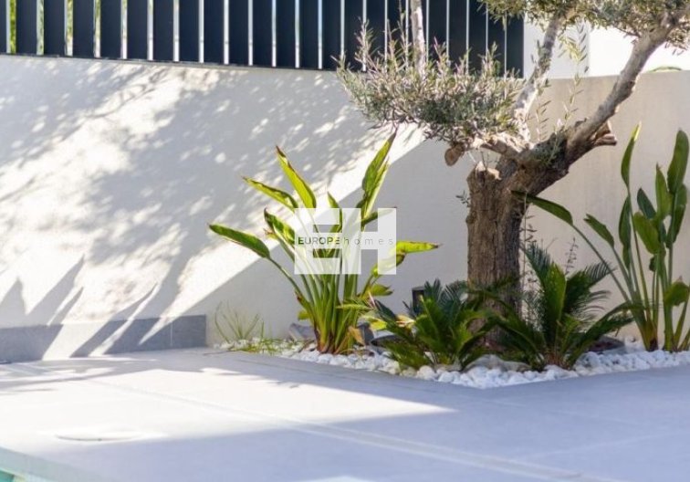 Revente - villa - Algorfa - Inland