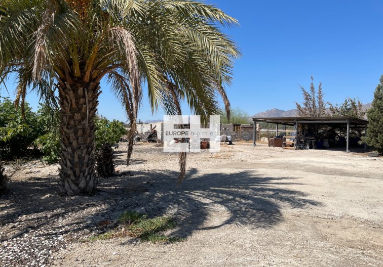 Revente - villa - Crevillent - Inland