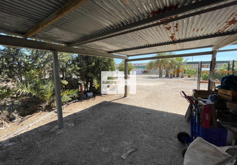 Revente - villa - Crevillent - Inland