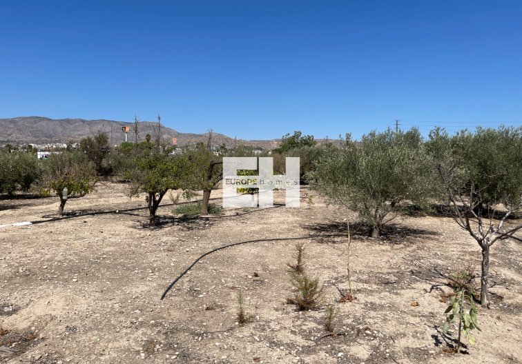 Revente - villa - Crevillent - Inland