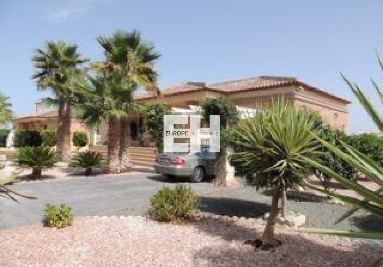 Revente - villa - Catral