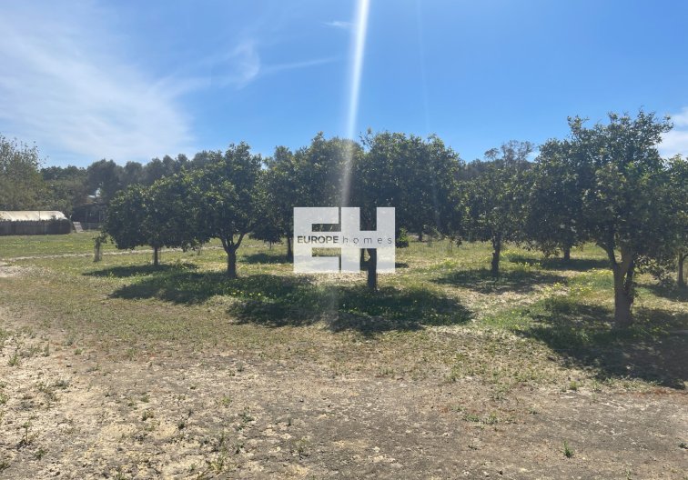 Segunda mano - villa - Guardamar del Segura - Costa Blanca