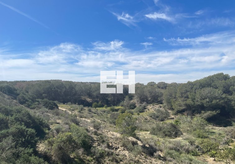 Segunda mano - villa - Guardamar del Segura - Costa Blanca