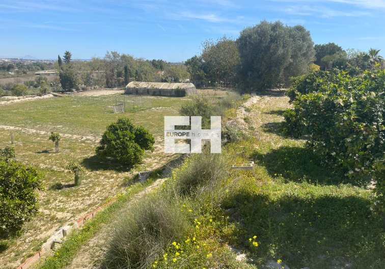 Segunda mano - villa - Guardamar del Segura - Costa Blanca