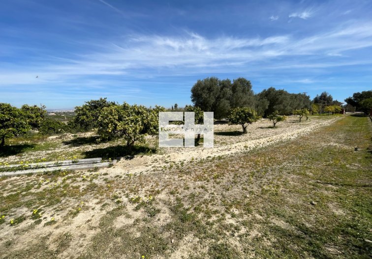 Segunda mano - villa - Guardamar del Segura - Costa Blanca