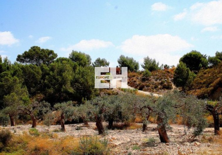 Wiederverkauf - Finca - Murcia - Inland