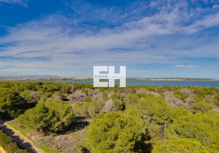 Wiederverkauf - Wohnung - Torrevieja - La Siesta - El Salado - Torreta