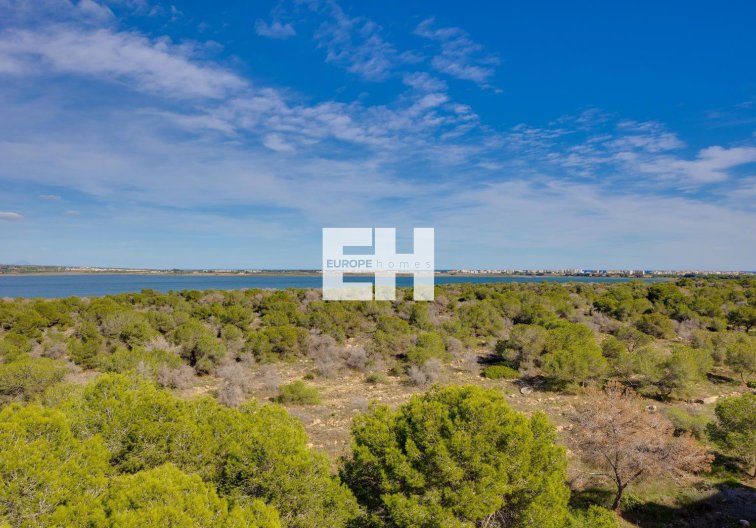 Wiederverkauf - Wohnung - Torrevieja - La Siesta - El Salado - Torreta