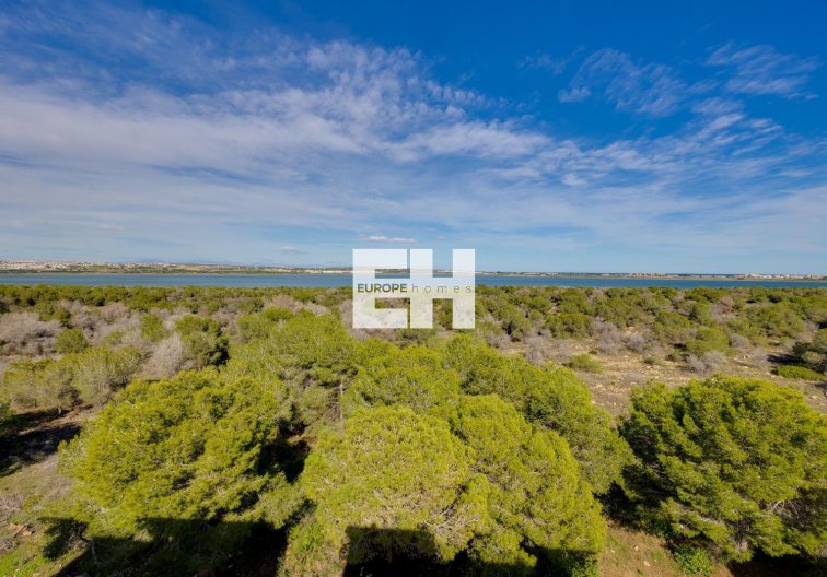 Wiederverkauf - Wohnung - Torrevieja - La Siesta - El Salado - Torreta