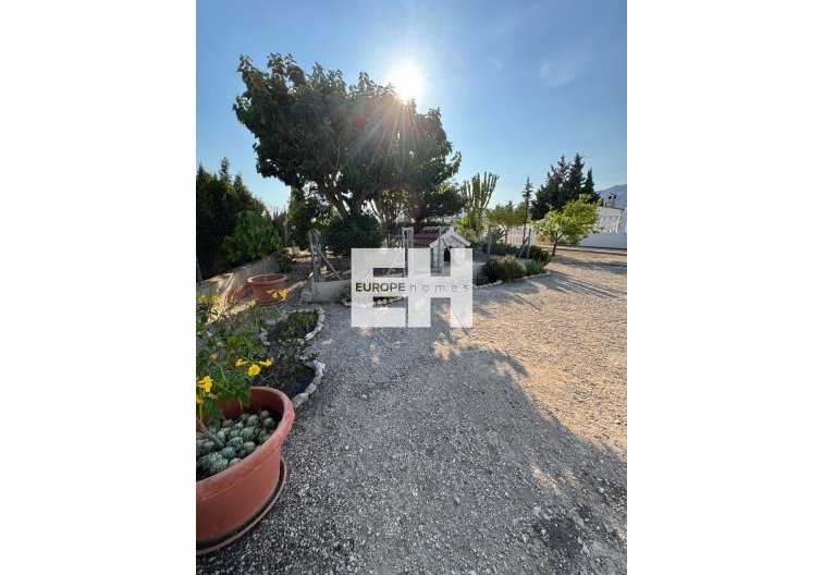 Wiederverkauf - villa - Albatera - Partida Lomas