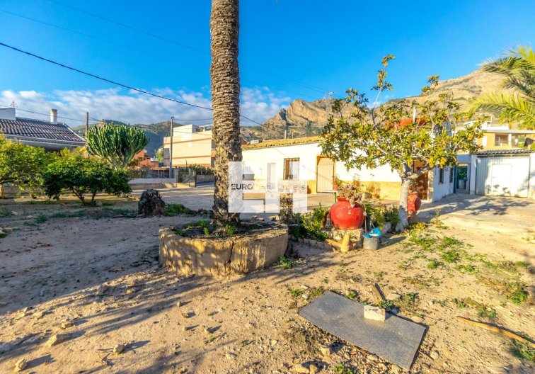 Revente - Finca - Orihuela - Raiguero De Bonanza