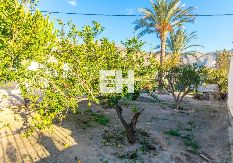Revente - Finca - Orihuela - Raiguero De Bonanza
