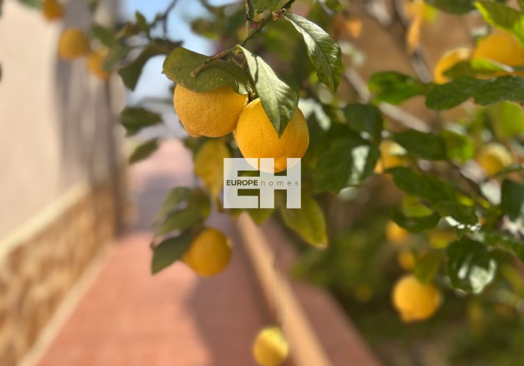 Revente - villa - Algorfa - Inland