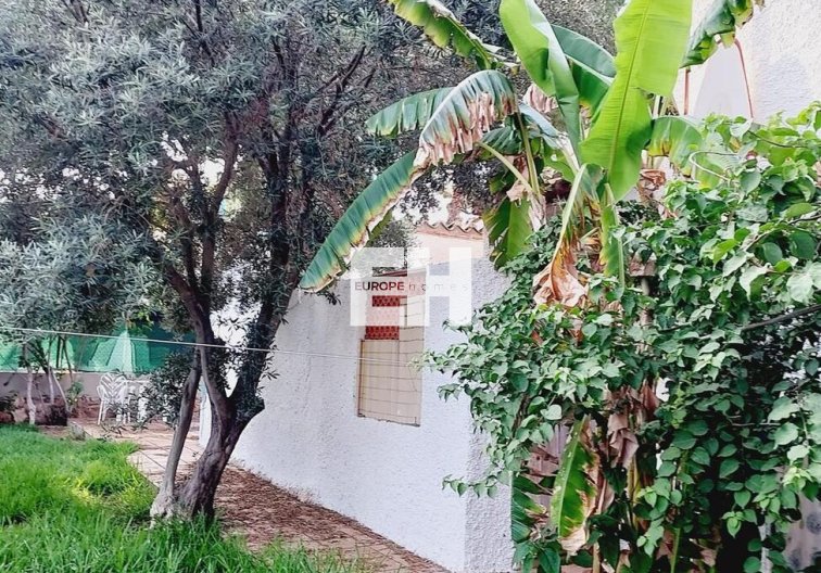 Revente - villa - Orihuela Costa - Punta Prima