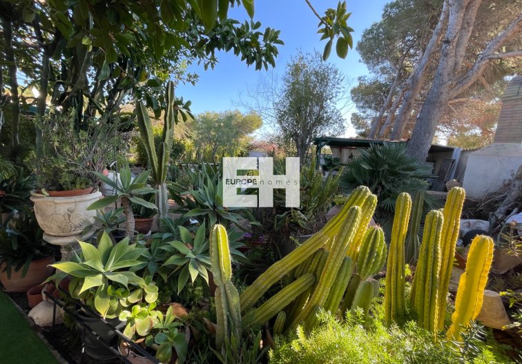 Wiederverkauf - villa - Orihuela Costa - Costa Blanca