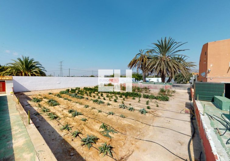 Revente - town house - Albatera - Inland