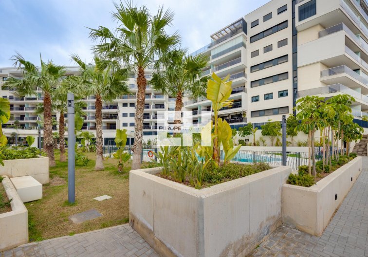Segunda mano - Atico - Orihuela Costa - Costa Blanca
