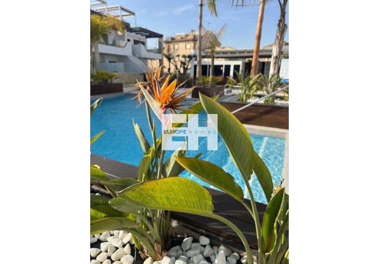 Herverkoop - Appartement - Orihuela Costa - Rocio Del Mar