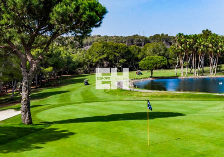 Resale - Apartment - Cabo Roig - Costa Blanca