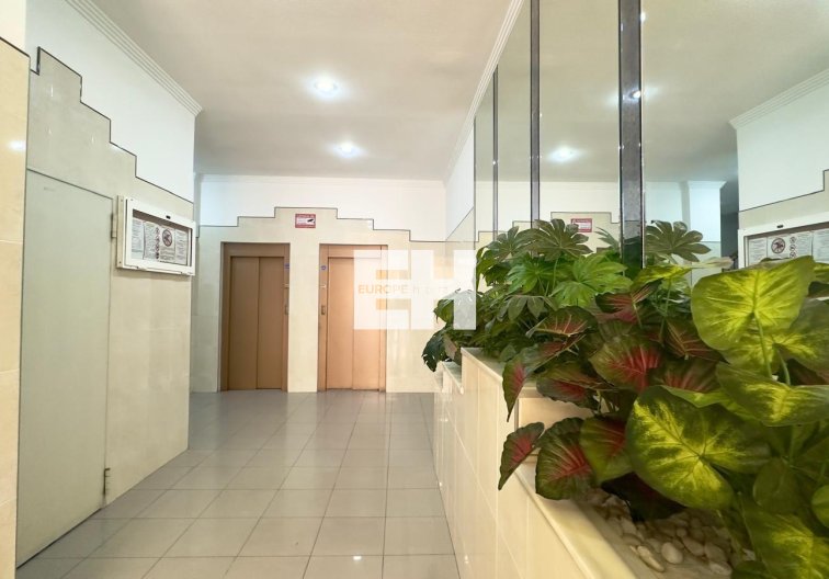 Segunda mano - Apartamento  - Torrevieja - Centro