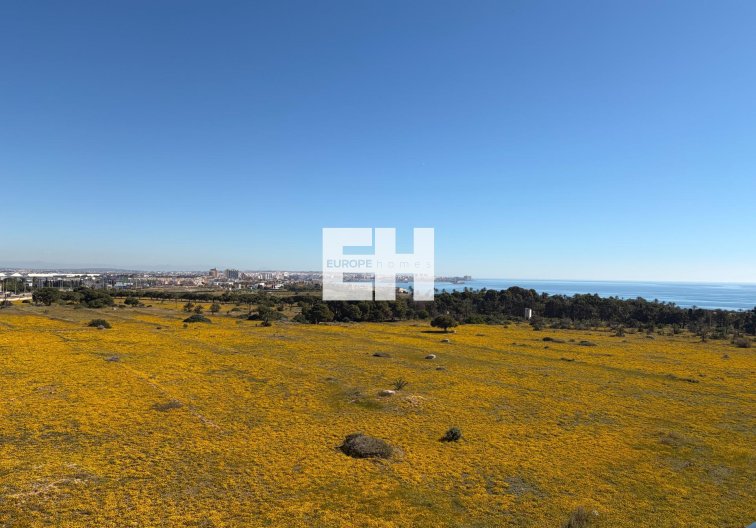 Revente - Penthouse - Torrevieja - Punta Prima
